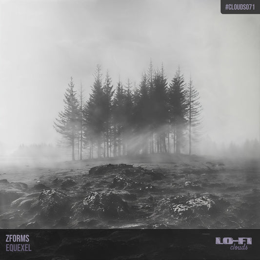 Zforms - Equexel (Lo-Fi Clouds  • CLOUDS071)